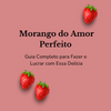 E-book Como fazer Morango do Amor